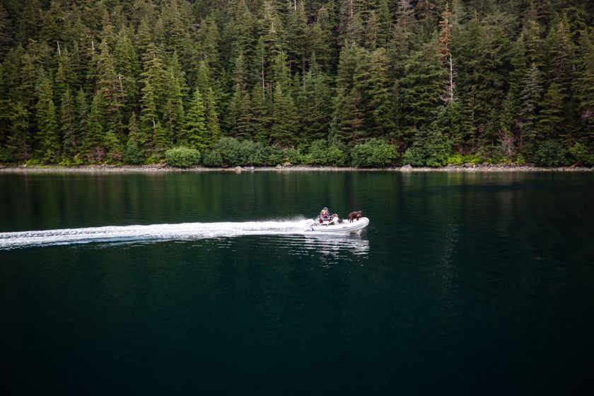 Highfield CLASSIC 360