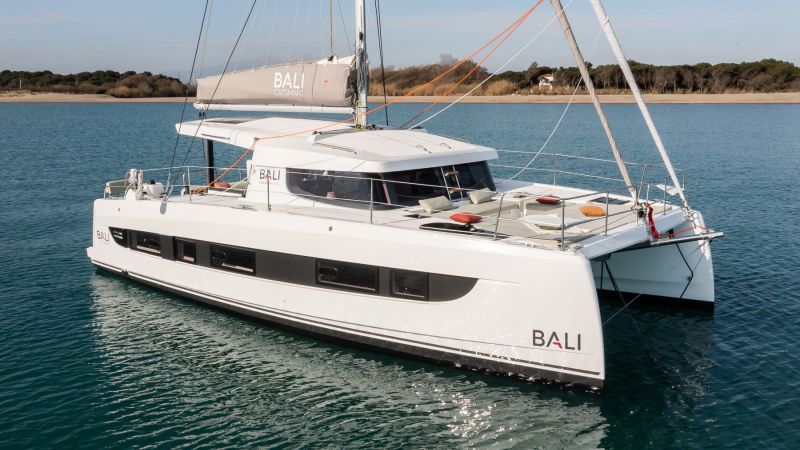 Bali Catsmart