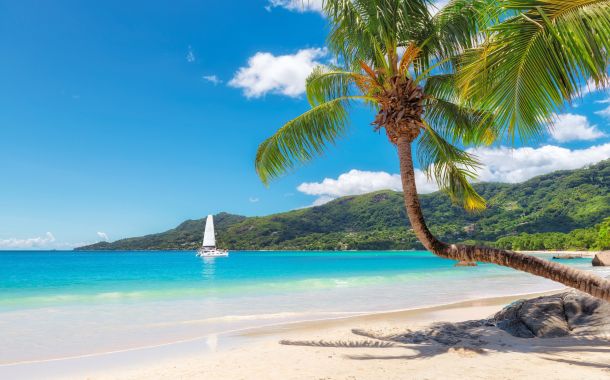 Caribe en Catamarán: Aventura Isla a Isla