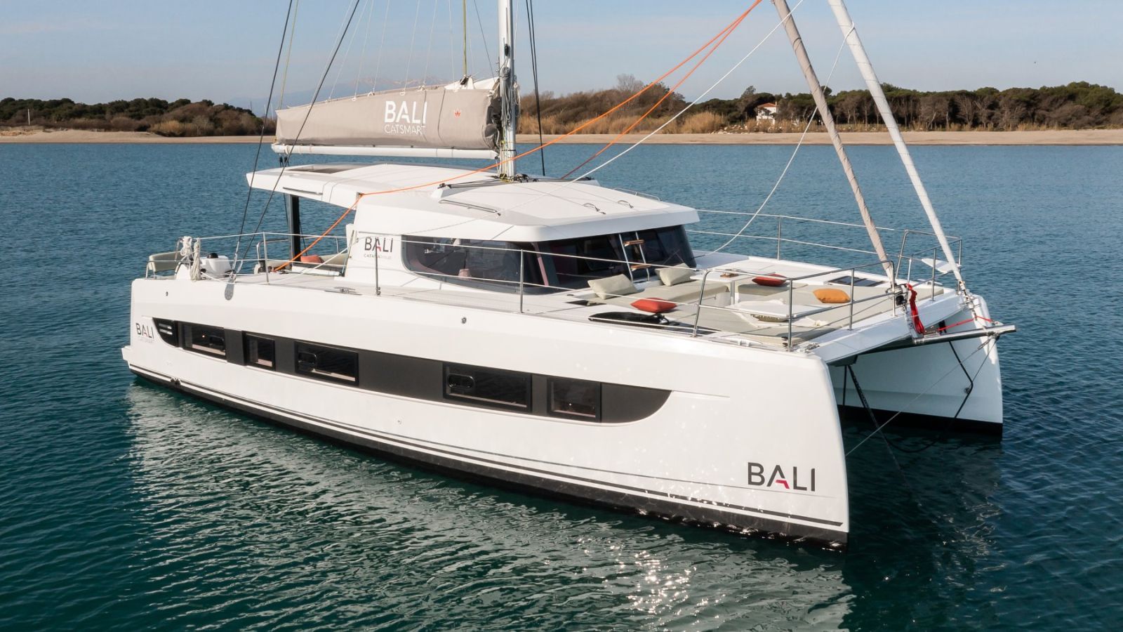 Bali Catsmart