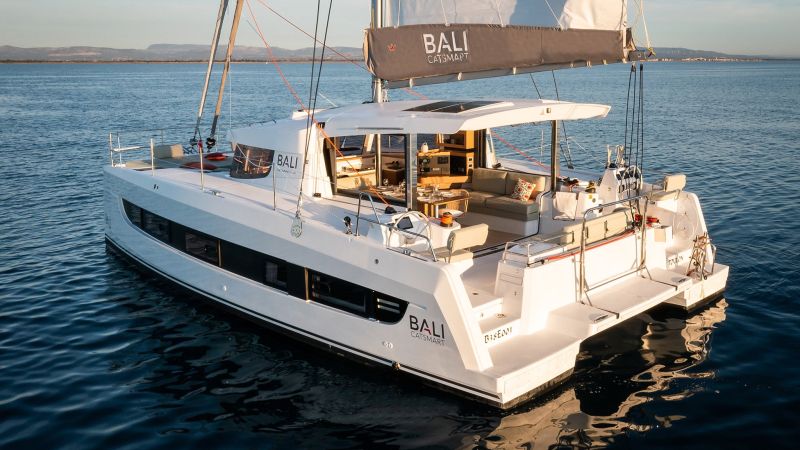 Bali Catsmart